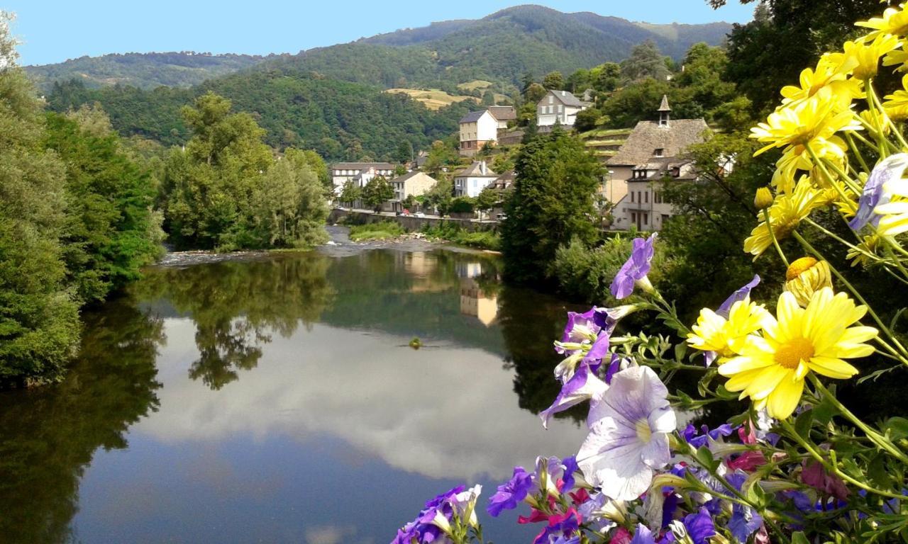 L'Oustalou - Gîte entre Lot et Truyère Entraygues-sur-Truyère Extérieur photo